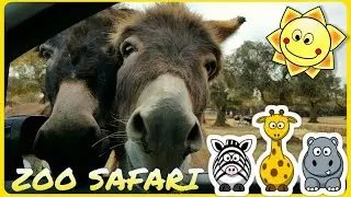 ZOO SAFARI di Fasano in Puglia - faccia a faccia con gli animali dentro l'auto