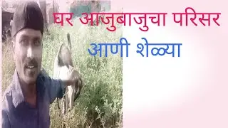 माझ्या घराच्या भवतालचा परिसर  | my home | vishnu Jadhav Vlogs