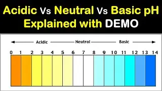 Acidic vs Neutral vs Alkaline pH | Hindi | Priyank Singhvi