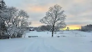 Sweden in January 2026 | Driving Through Snowy Roads & White Farmland