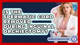 Is The Spermatic Cord Removed During Inguinal Orchiectomy? - Reproductive Cancer Relief Guide