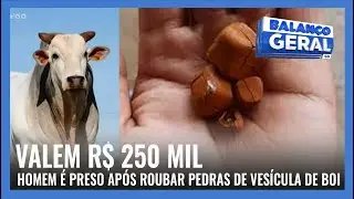 VALEM R$ 250 MIL: HOMEM É PRESO APÓS ROUBAR PEDRAS DE VESÍCULA DE BOI