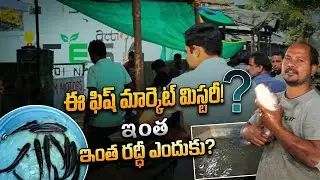 ఈ ఫిష్ మార్కెట్ రద్దీ మిస్టరీ ఇంత రద్దీ ఎందుకు#fishmarket #business #streetfish #uppal #fishinglife