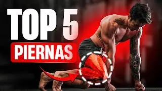 TOP 5 Ejercicios FUERZA de PIERNA  (Sin Material)