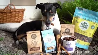 DIY Human-Grade Dog Treats! 🐾 Natural Pumpkin & Peanut Butter Biscuits (No Xylitol)