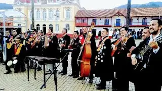 TUNA CIUDAD DE ZIPAQUIRA-HOMENAJE  A  NUESTRAS TUNAS COLOMBIANAS AMIGOS PARA SIEMPRE