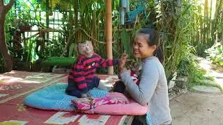 Lovely monkey Koko jealous while mom hold care Yoko