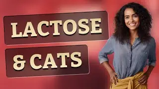 How Does Lactose Really Affect Your Cat&rsquo;s Stomach?