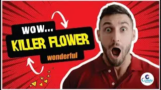 SHOCKING! Killer Flower DISCOVERY in Mysterious Sinkhole Expedition! (It's a FANTASY?!)