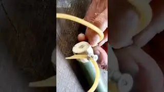 Crafting a Powerful Wooden Handmade Slingshot: DIY Woodworking Adventure #video #selfmade #reels#yt