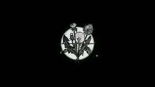Ogr&oacute;d - Smog City