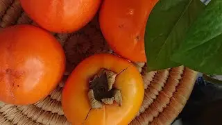 Aimer vous les kaki ? dessert au kaki super simple et savoureux avec que  2 ingredients seulement