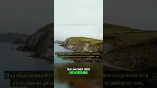 L'Irlande: Paradis de la P&ecirc;che! Pr&eacute;parez Votre Aventure!