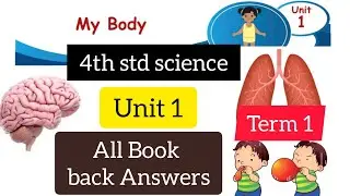 4th std - science || Term 1 - unit 1 || My body - book back answers