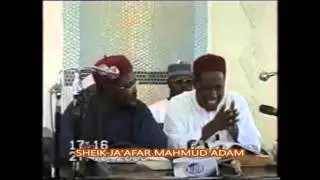 TAMBAYOYI 010