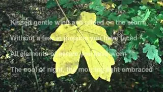 Autumn Leaf - Original Poetry (HD)