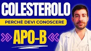 Colesterolo: come valutare correttamente il rischio attraverso l’apolipoproteina B