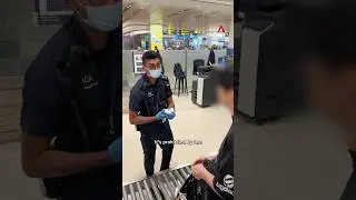 Singapore clamps down on vaping: More than 850 vapes seized at borders over 5 days