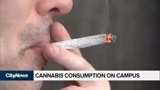 University of Lethbridge to allow consumption of pot on campus
