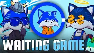 $TOSHI: It's All About Patience w/ The Big Blue Cat