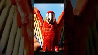 Giant Macaw Saves Human on Christmas Day 2025