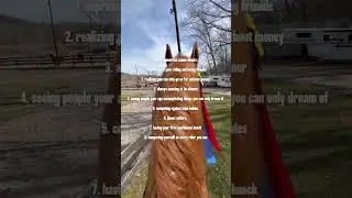 universal experiences| #horse #equestrian #saddlebred #saddleseat