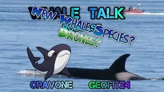 Whale Talk Podcast Episode 6 - Drones in Cetacean Research & Gingko-Toothed Beaked Whale
