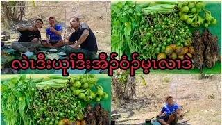 လဲၤဒီးယုၢ်ဒီးအီၣ်ဝံၣ်မ့ၤလၢဒဲ