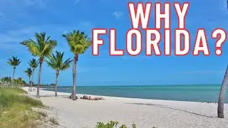 Why Do So Many Illinoisans Move To Florida??? - Illinois Exodus