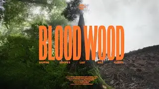 BLOOD WOOD - Mapping Europe&acute;s Last Wild Forests