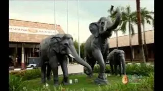 Bintan Resorts Destination Video (English)
