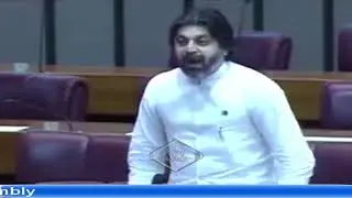 PTI&rsquo;s Ali Muhammad Khan Speech Against America in National Assembly
