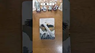 Daily Oracle - Crow Spirit Message