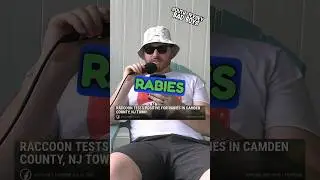Rabid raccoons are in South Jersey! #comedy #newjersey #shorts #funny