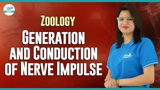 Generation and Conduction of Nerve Impulse || #NEET Zoology || #ShortLecture || Infinity Learn NEET