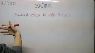 C&oacute;mo calcular el modulo de un vector