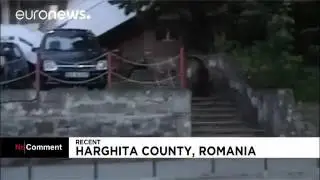 Мечки нападнаха Румъния