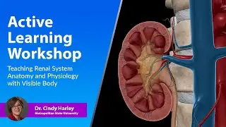 Active Learning Workshop: Teaching Renal System Anatomy & Physiology with Visible Body