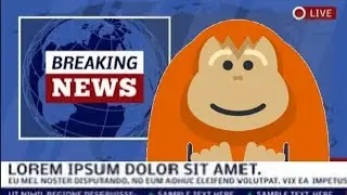 ПИНУСАИДЫ АГРАБЕЛЕ БАНК ДИФ МЕНАВ СРОЧНЫ НОВАСТЕ!!!! ВЕДОС С КАМЕР🦧🦧🦧🦧👨&zwj;🚀👨&zwj;🚀👨&zwj;🚀👨&zwj;🚀