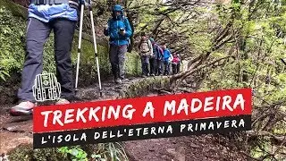 Trekking a Madeira: l'isola dell'eterna primavera!