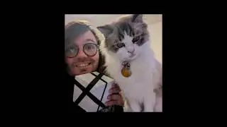 you need to nerd out these are all my fandom  #nerd #indieanimations  #allmyfavs #cats #edit