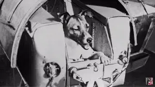 This Day in History: 4th October