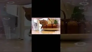 Il dolce &eacute; servito&hellip;