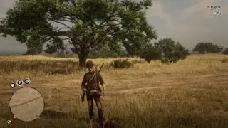 Red dead 2 online launch glitch