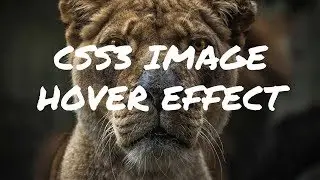 CSS3 Image Hover Effect tutorial | CSS3 Animation Snippets