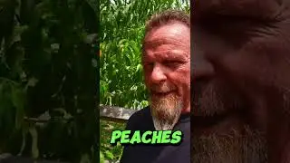 🌎🐓🐞 Mr. Mustavio Episode 5
