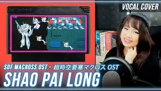 Super Dimension Fortress Macross / 超時空要塞マクロス - 小白竜 / Shao Pai Long cover with lyrics translation