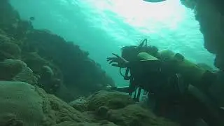 Magical Reef of Los Tubos
