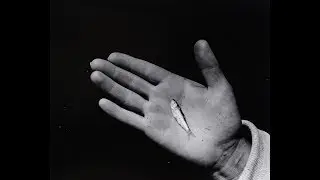 Lecture: Robert Mann on Aaron Siskind