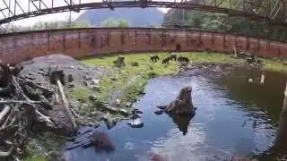 Fortress of the Bear